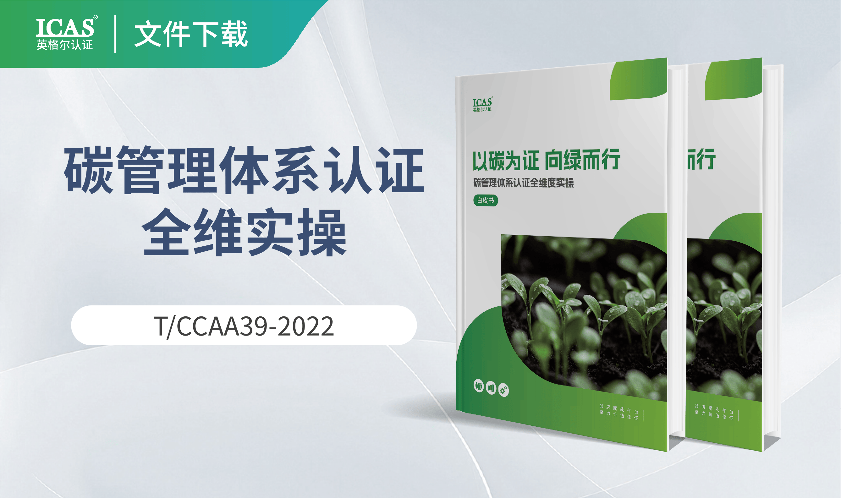 以碳为证,向绿而行:碳管理体系认证全维度实操白皮书