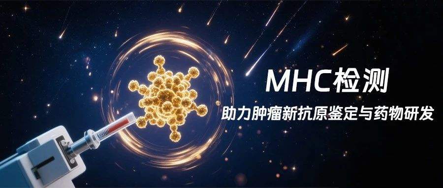 基于质谱的MHC检测:肿瘤新抗原鉴定与药物研发的革新力量