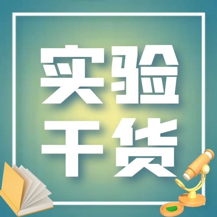组蛋白修饰WB条带信号弱?快来看看高分文献怎么做