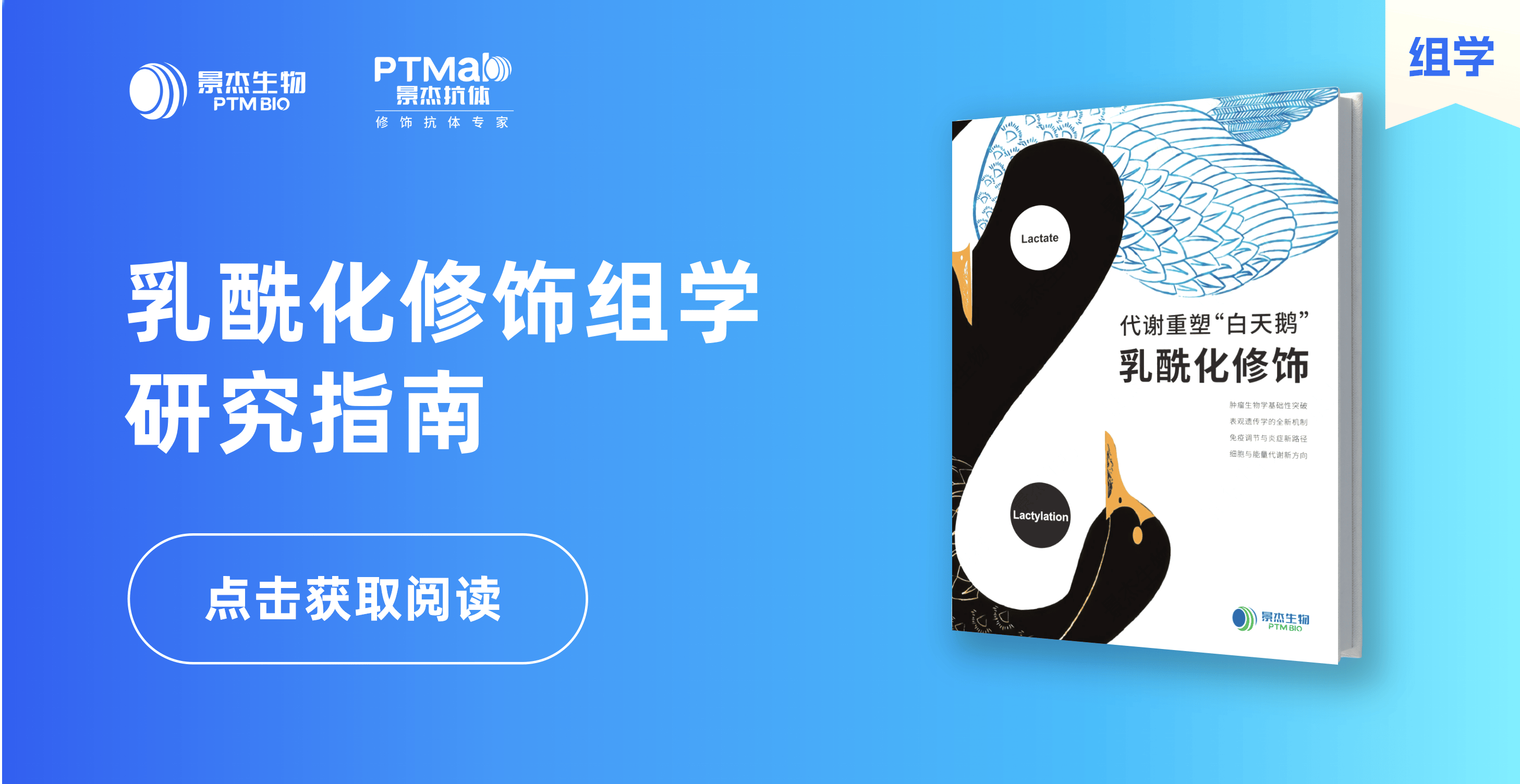 景杰生物_乳酰化修饰组学研究指南