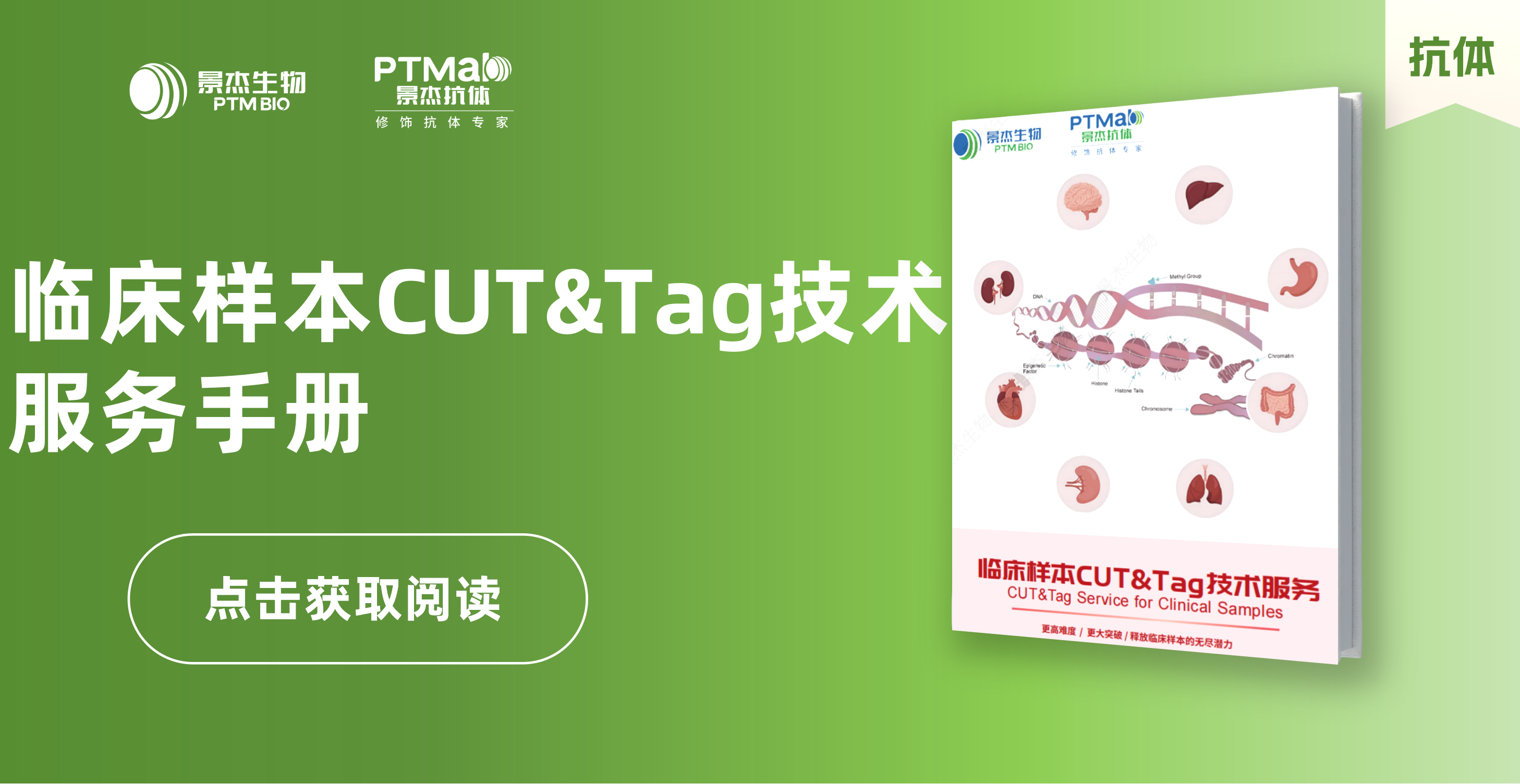 景杰生物_临床样本CUT&Tag技术服务手册