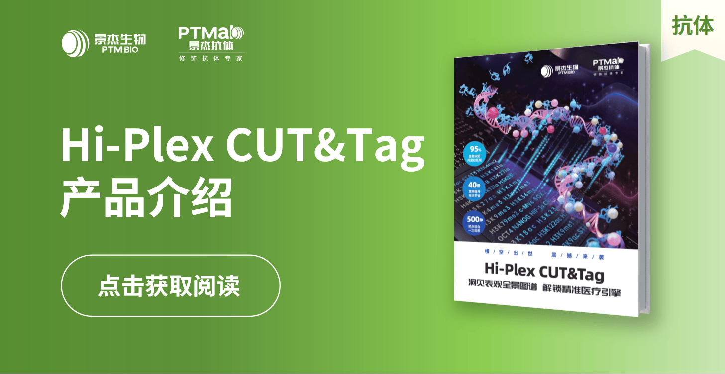 景杰生物_Hi-PlexCUT&Tag产品介绍