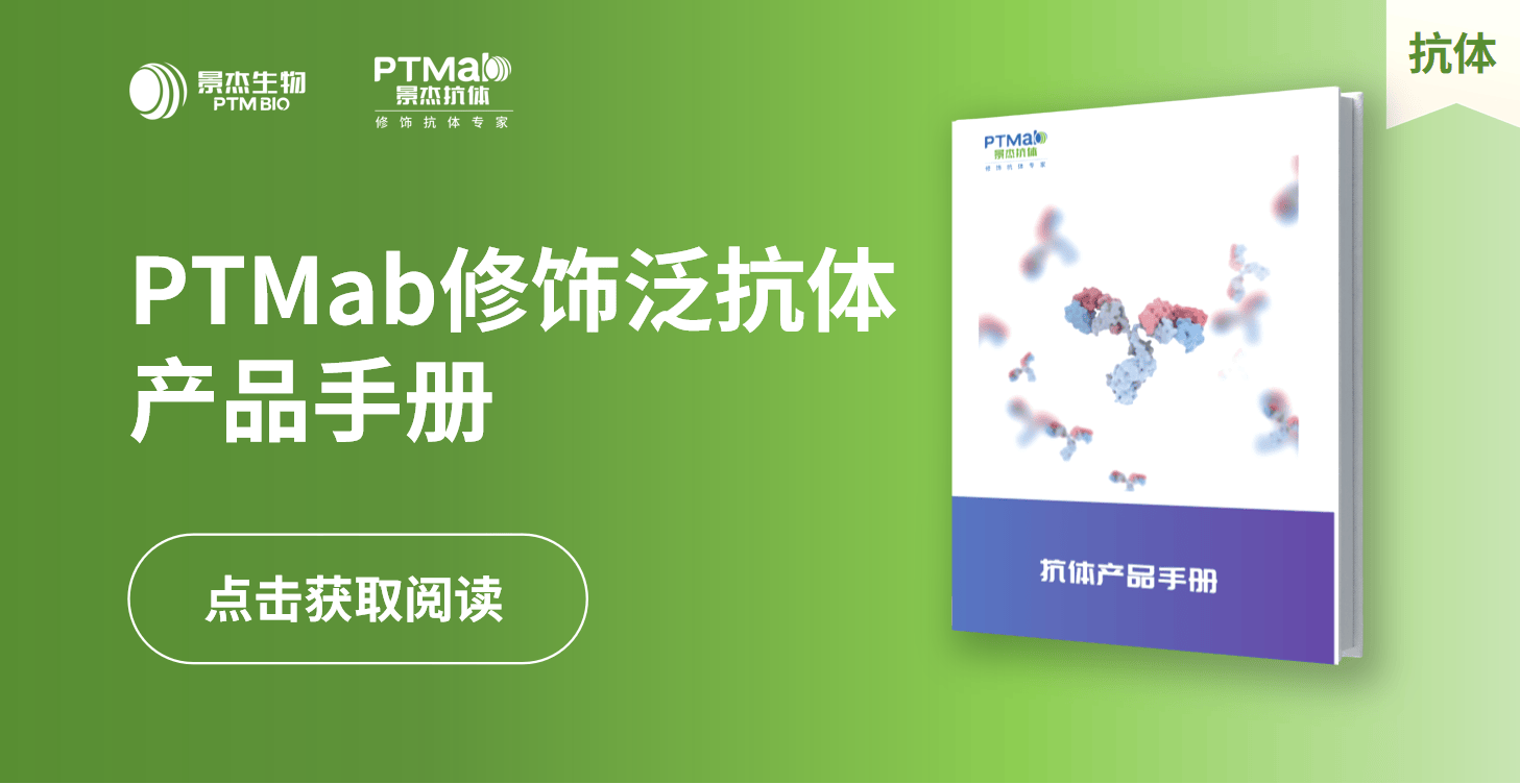 景杰生物_PTMab修饰泛抗体产品手册