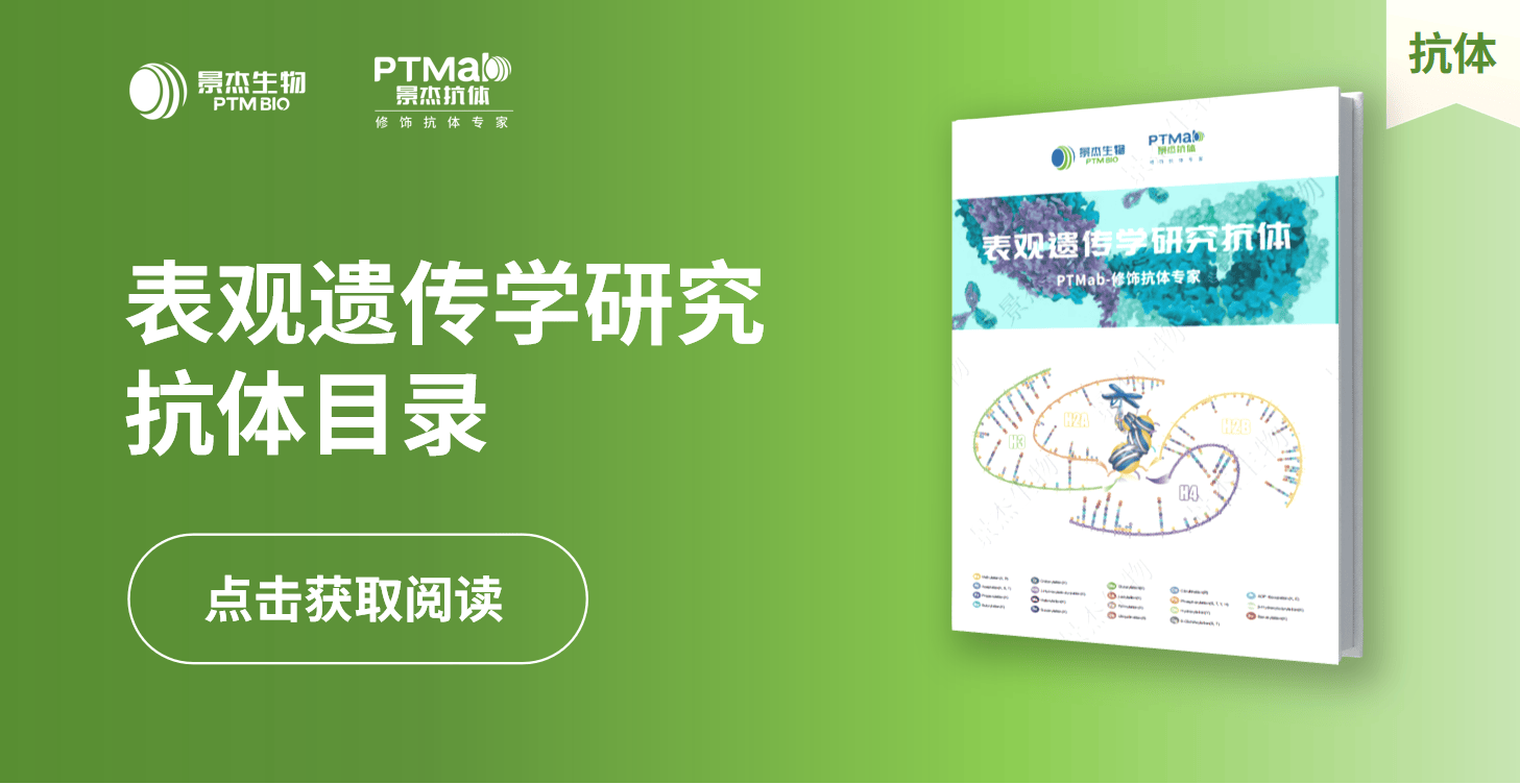 景杰生物_表观遗传学研究抗体目录
