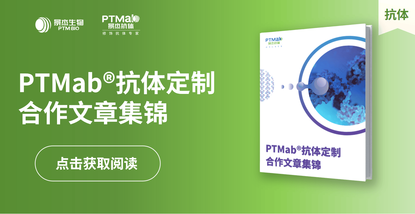 景杰生物_PTMab定制抗体合作文章集锦