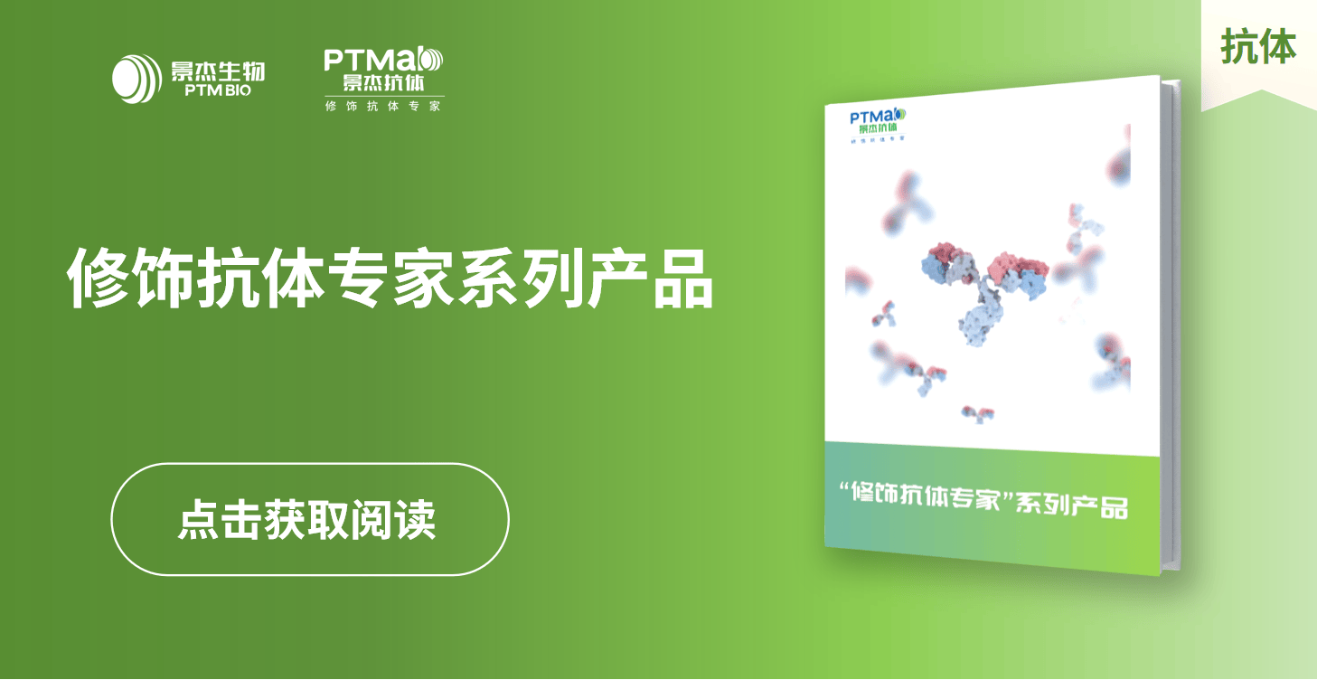 景杰生物_修饰抗体专家系列产品介绍