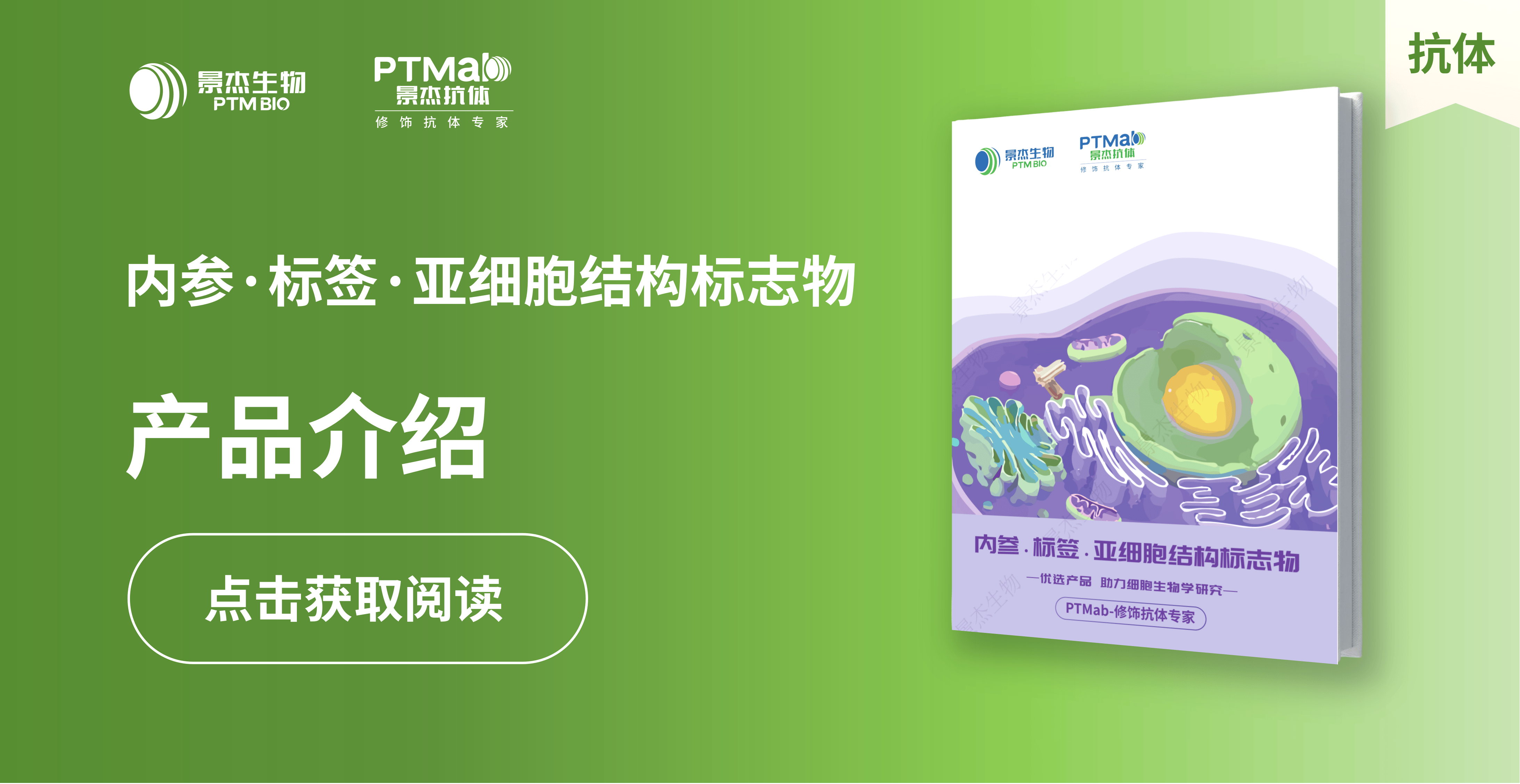 景杰生物_内参·标签·亚细胞结构标志物产品介绍