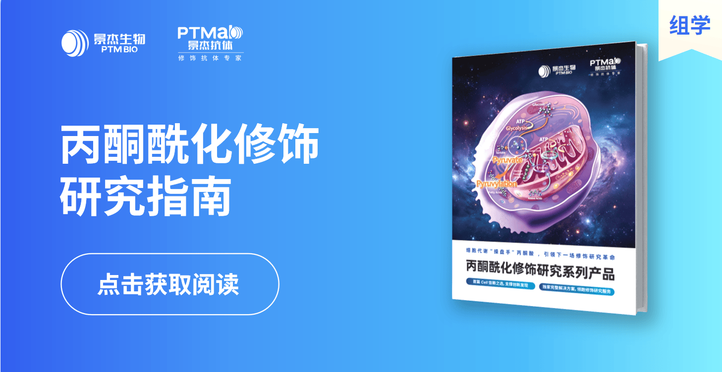景杰生物_丙酮酰化修饰研究指南