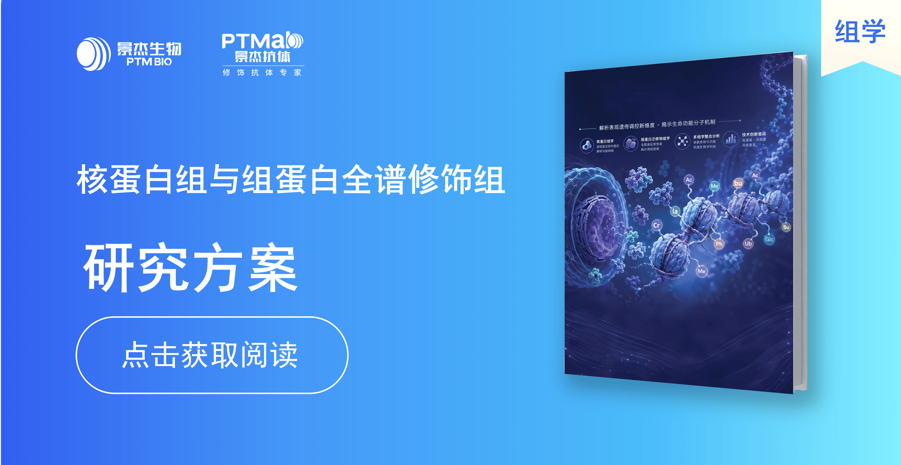 景杰生物-核蛋白组与组蛋白全谱修饰组研究方案