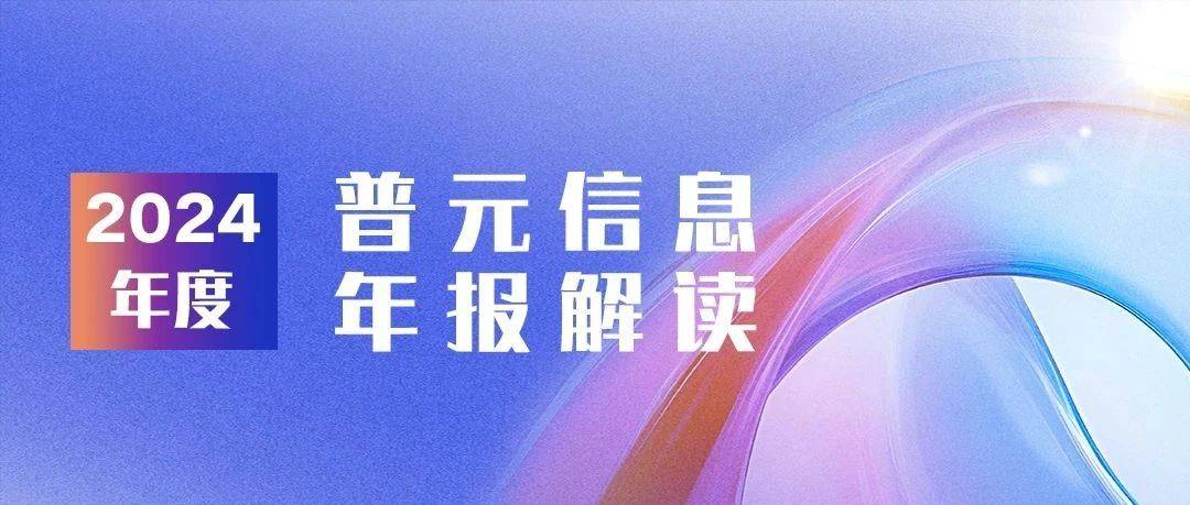 一图读懂 | 2024年度普元信息年报