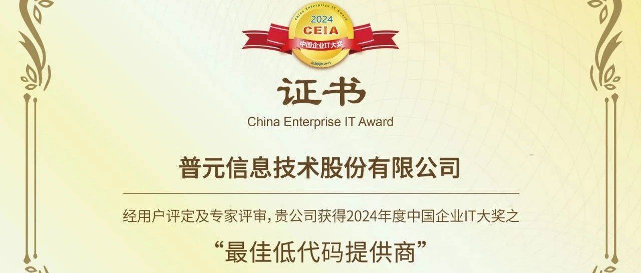 普元荣获CEIA中国企业IT大奖,获评“最佳低代码提供商”