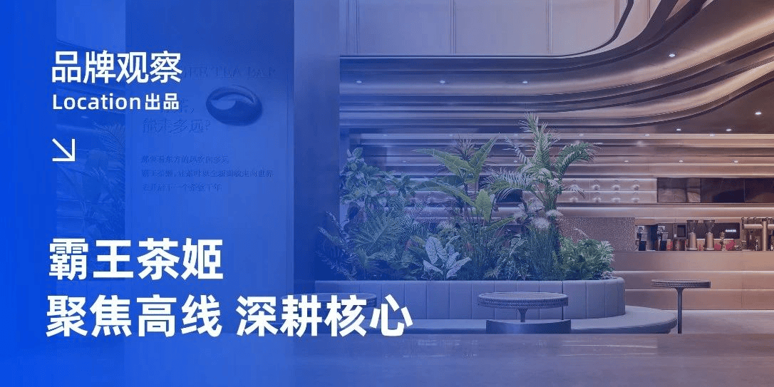 霸王茶姬登陆纳斯达克:「东方星巴克」背后的扩张逻辑